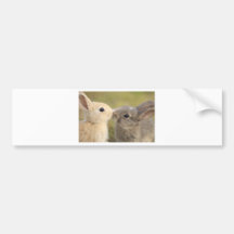 loving rabbit バンパーステッカー