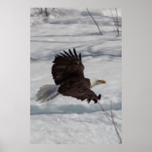 Low-Altitude Fly By Poster