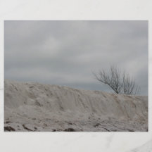 Low key photo of beach dune and dead tree flyer