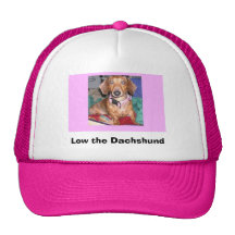 Low the Dachshund hat