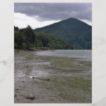Low tide custom flyer