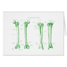 Lower Limb Green Greeting Card