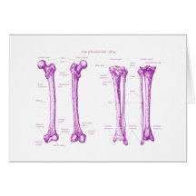 Lower Limb Purple Greeting Card