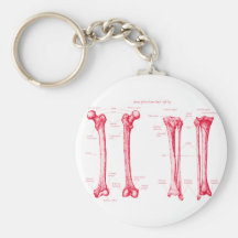 Lower Limb Red Key Chains