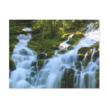 Lower Proxy Falls Oregon Postcard