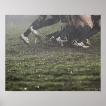 Lower section of rugby player in scrum, pushing posters