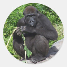 Lowland Gorilla Stickers
