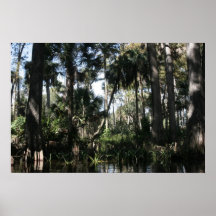 Loxahatchee River South Florida Posters