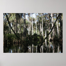 Loxahatchee River South Florida Print
