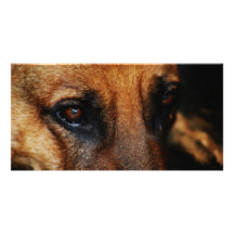 LOYAL FRIEND PERSONALIZED PHOTO CARD