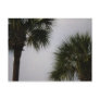 lpn 160 post card