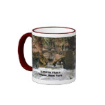 LUCIFER FALLS,Ithaca,New York  mug