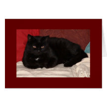 Lucky Black Cat Card