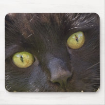Lucky black cat mouse pad