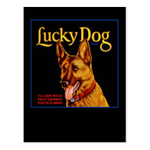 Lucky Dog Postcards