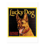 Lucky Dog Vintage Crate Label Post Cards