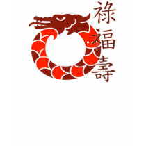 Lucky Dragons with Chinese Symbols T-shirt