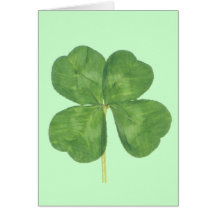 Lucky Four-Leaf Clover Shamrock Card