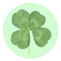 Lucky Four-Leaf Clover Shamrock Round Sticker