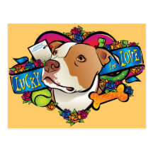 Lucky in Love Post Card