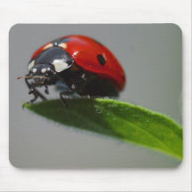 Lucky Ladybug Lovers gifts Mouse Mats