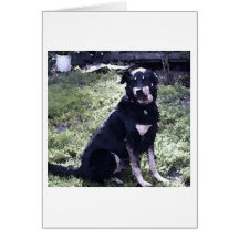 Lucky on The Lawn Cards