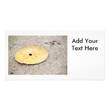 Lucky Sand Dollar Personalized Photo Card