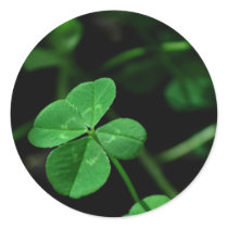 Lucky Round Sticker