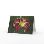 Lucky Streak Greeting Cards