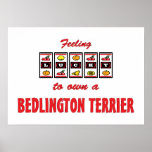 Lucky to Own a Bedlington Terrier Fun Dog Design Poster