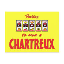 Lucky to Own a Chartreux Fun Cat Design Post Cards