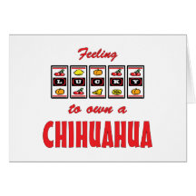 Lucky to Own a Chihuahua Fun Dog Design Card