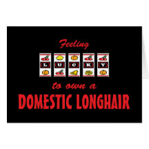 Lucky to Own a Domestic Longhair Fun Cat Design Greeting Card