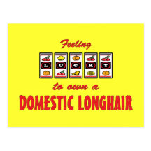 Lucky to Own a Domestic Longhair Fun Cat Design Postcards