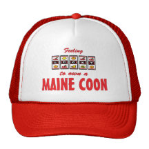 Lucky to Own a Maine Coon Fun Cat Design Mesh Hat