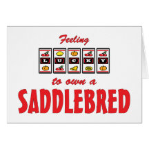 Lucky to Own a Saddlebred Fun Horse Design Cards