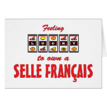 Lucky to Own a Selle Français Fun Horse Design Greeting Card