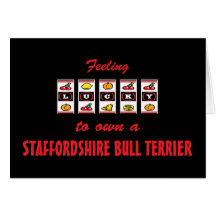 Lucky to Own a Staffordshire Bull Terrier Card