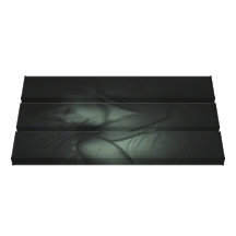 Lucy 1 stretched canvas prints