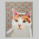 Lucy Notebook notebooks