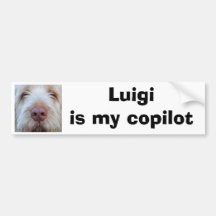 Luigi's Booper Bumper Sticker
