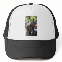 Luk Chai Baby Elephant Mesh Hat