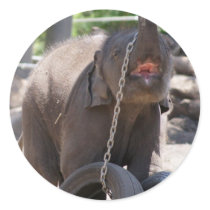 Luk Chai Baby Elephant Stickers
