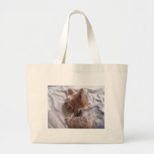 Luke ( dog) bolsa para compra