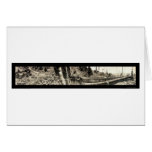 Lumberjack Redwoods Photo 1915 Greeting Cards