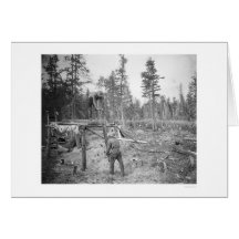 Lumberjacks in Alaska 1916 Card