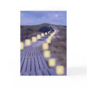 Luminarias on the Beach Path cards