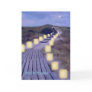 Luminarias on the Beach Path
