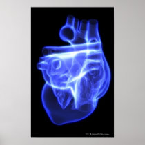 Luminescent view of the human heart posters