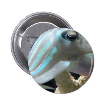 Luminous Cuttlefish Buttons